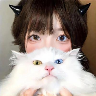 狗的生涯